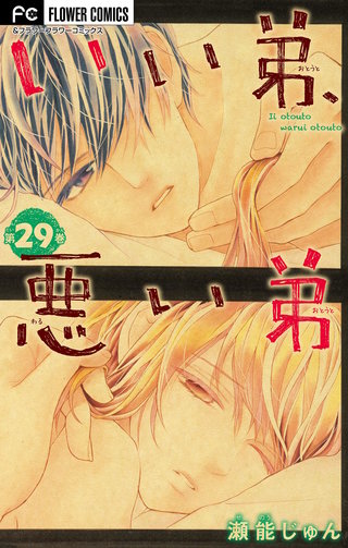 いい弟、悪い弟【マイクロ】(29)