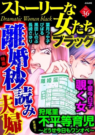 ストーリーな女たち ブラック Vol.36　離婚秒読み夫婦