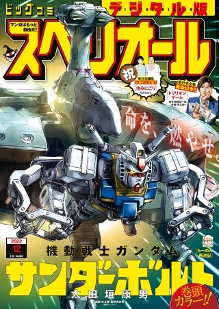 ビッグコミックスペリオール 2022年12号