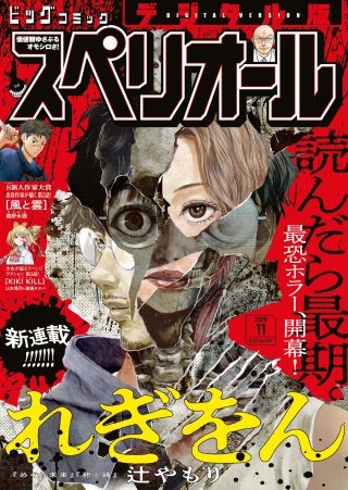 ビッグコミックスペリオール 2026年11号