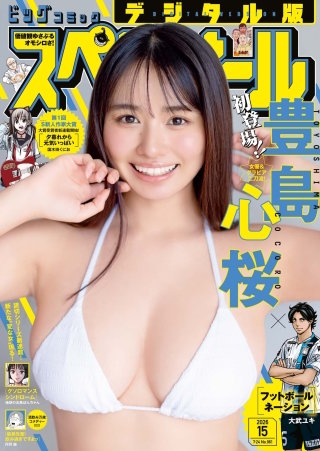 ビッグコミックスペリオール 2026年15号