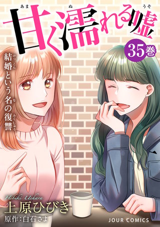甘く濡れる嘘～結婚という名の復讐～(35)