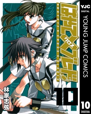 はやて×ブレード(10)