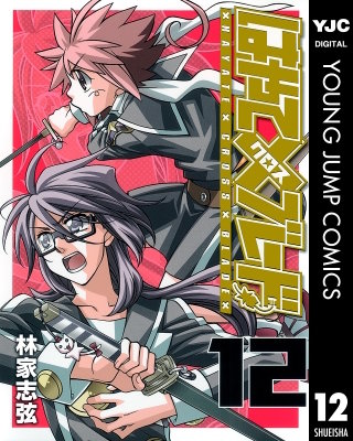 はやて×ブレード(12)