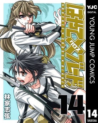 はやて×ブレード(14)