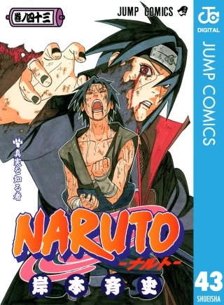 NARUTO―ナルト― モノクロ版(43)