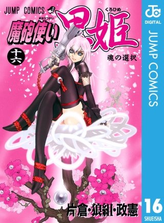 魔砲使い黒姫(16)