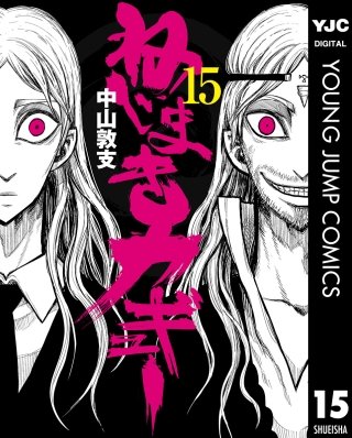ねじまきカギュー(15)