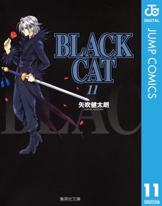 BLACK CAT(11)