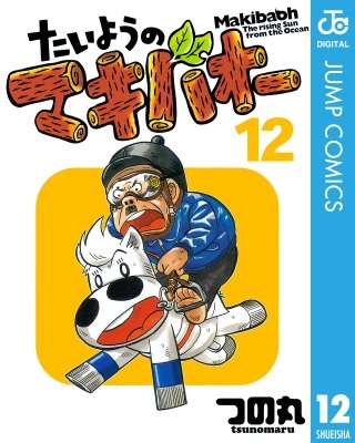 たいようのマキバオー(12)