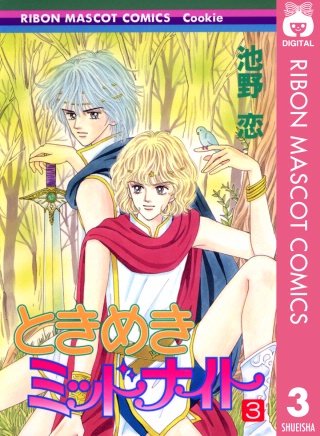 ときめきミッドナイト(3)