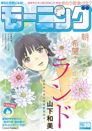 モーニング 2018年30号 [2018年6月28日発売]