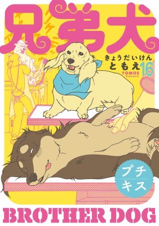 兄弟犬 プチキス(16)