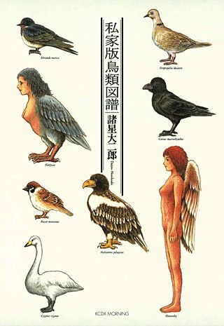 私家版鳥類図譜(1)