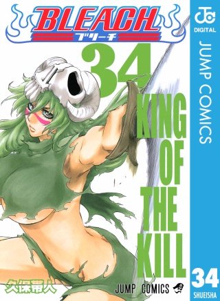 BLEACH モノクロ版(34)