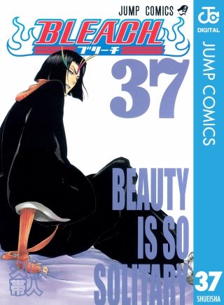 BLEACH モノクロ版(37)