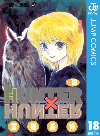 HUNTER×HUNTER モノクロ版(18)