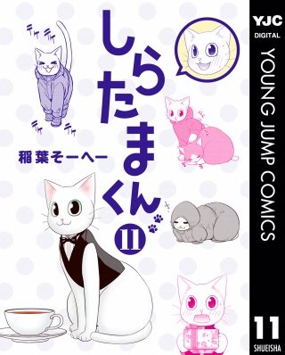 しらたまくん(11)