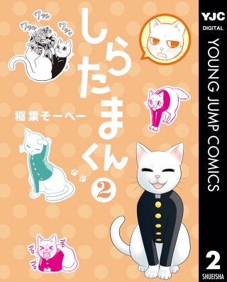 しらたまくん(2)