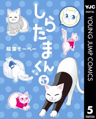 しらたまくん(5)