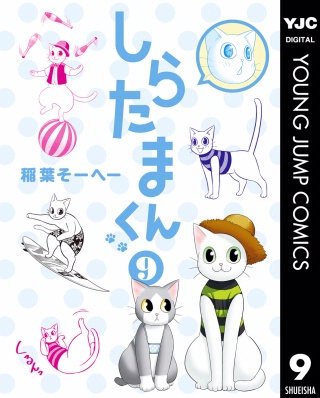 しらたまくん(9)