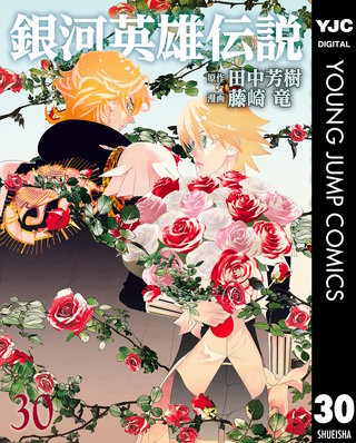 銀河英雄伝説(30)