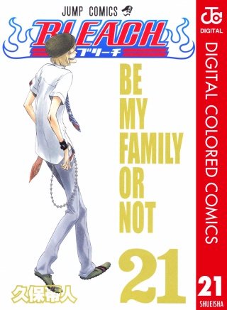 BLEACH カラー版(21)