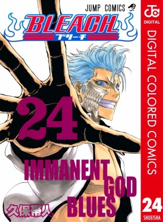 BLEACH カラー版(24)
