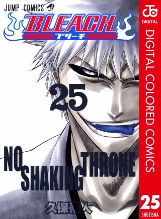 BLEACH カラー版(25)