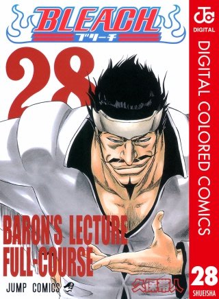 BLEACH カラー版(28)