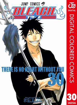 BLEACH カラー版(30)