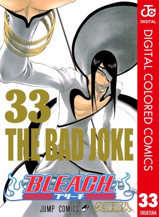 BLEACH カラー版(33)
