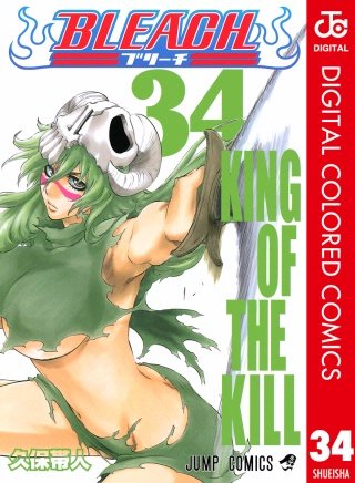 BLEACH カラー版(34)