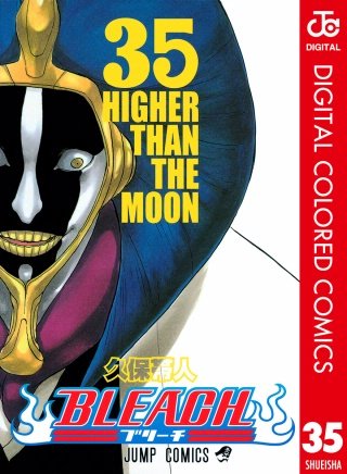 BLEACH カラー版(35)
