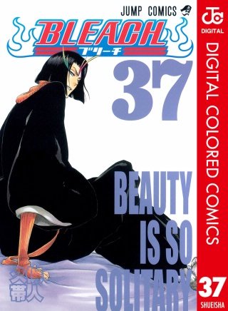 BLEACH カラー版(37)