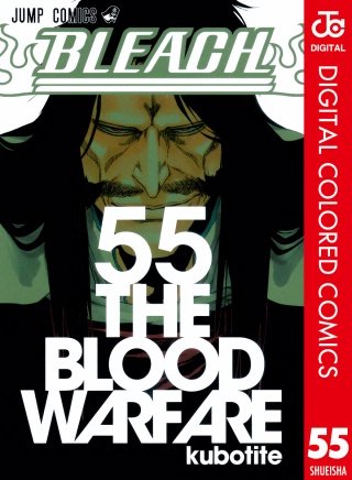 BLEACH カラー版(55)