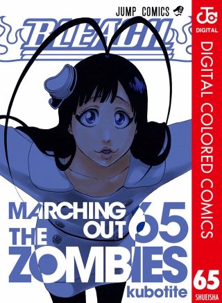 BLEACH カラー版(65)