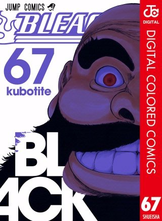 BLEACH カラー版(67)
