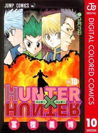 HUNTER×HUNTER カラー版(10)