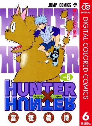 HUNTER×HUNTER カラー版(6)