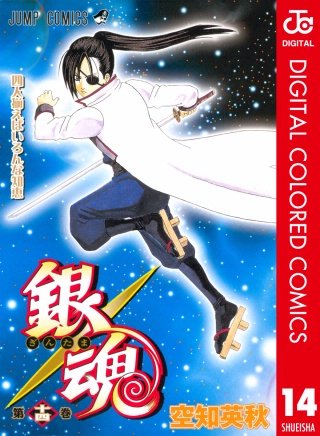 銀魂 カラー版(14)