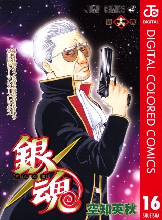 銀魂 カラー版(16)