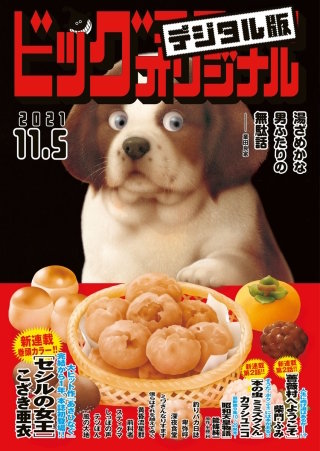 ビッグコミックオリジナル 2021年21号