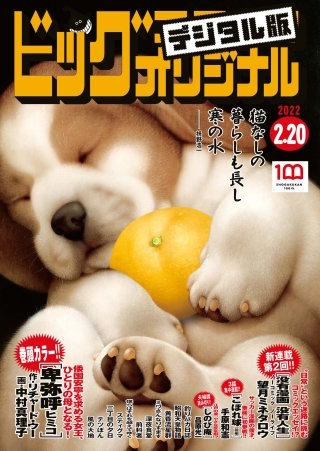 ビッグコミックオリジナル 2022年4号