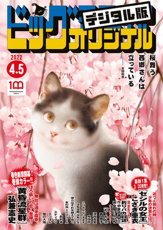 ビッグコミックオリジナル 2022年7号