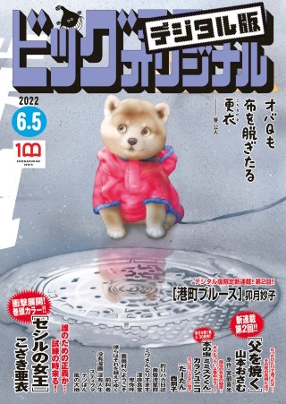 ビッグコミックオリジナル 2022年11号