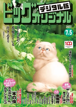 ビッグコミックオリジナル 2022年13号