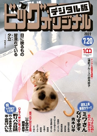 ビッグコミックオリジナル 2022年14号