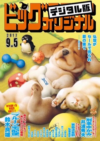 ビッグコミックオリジナル 2017年17号