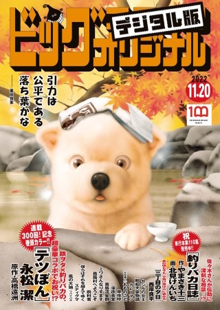 ビッグコミックオリジナル 2022年22号